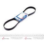 Ремінь генератора Ford Focus 1.6i (6EPK1059) 