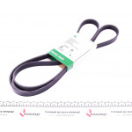 Ремінь генератора VW Crafter 2.5TDI (-AC) /MB OM601/602 (6PK2000) 