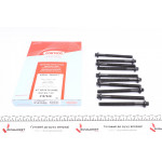 Болти головки (к-кт 10шт.) Renault Kangoo 1.5dCi 