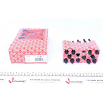 Болти головки (к-кт 12шт.) BMW 1(E87)/3 (E46/E91)/5 (E60)/X3 (E83) 1.6/1.8/2.0 00-12 N40/N42/N45/N46 