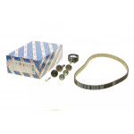 Комплект ГРМ Ford Mondeo/Focus 1.4/1.6i 03-/Volvo C30/S40/V50 1.6 05-12 (22x117z) 