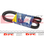 Ремінь генератора BMW 3 (E36)/5 (E34/E39)/Hyundai (5PK1815) 