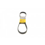 Ремінь генератора Renault Clio III/Modus/Twingo 1.2 05-/BMW 7 (E38) 5.4 94-01/Nissan Pathfinder 12- 