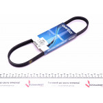 Ремінь генератора Nissan Almera/Primera/Sunny 