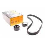 Комплект ГРМ Citroen C5/C6/C8//Peugeot 407 2.2HDI 06-/Ford Galaxy/Mondeo 2.2TDCi 08-15 (25.4x118z) 