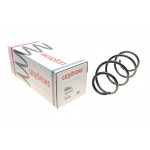 Пружина (передня) Renault Clio 1.5dCi/2.0 16V 05-10 (універсал/накл.зад.ч) 