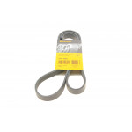 Ремінь генератора Ford Transit 2.3 16V 00-06 (RWD) 