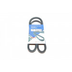 Ремінь генератора Fiat/Opel/VW (10x1025) 