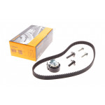 Комплект ГРМ Ford Mondeo/Focus 1.4/1.6i 03-/Volvo C30/S40/V50 1.6 05-12 (22x117z) 