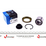 Підшипник маточини (задньої) Ford Fiesta 01- (29x53x37) (+ABS)(к-кт) 