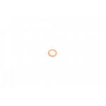 Шайба під форсунку Opel (8x12x1.5) 