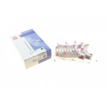 Вкладиші корінні BMW X5 (F15/F85) 2.0i (N20) 15- (STD) = 6007110000 