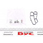 Прокладка радіатора масляного BMW X5 3.0 d 01-03 