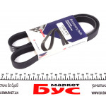 Ремінь генератора Fiat Bravo 1.9TD/JTD 96-01/1.6 D Multijet 07- (6PK1036) 