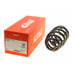 Пружина (задня) Audi A4 1.6-3.0/1.8T/1.9-2.7TDI/2.0FSI/TFSI quattro 01-08 (унів.) (без спорт.х.ч) 