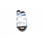 Ремінь генератора VW Caddy/Golf/Skoda Octavia 1.6/2.0 04-15/Fiat Ducato 2.5TDI 94-02/Scudo 1.6 96-06 