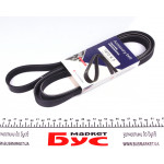 Ремінь генератора BMW 5 (E39)/Opel Omega B 2.5TD 94-03 (5PK1815) 