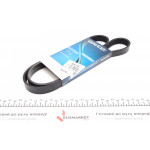 Ремінь генератора Toyota Avensis 2.0D 99-03/ BMW 8 (E31) 4.5-5.0 90-99 