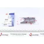 Вкладиші корінні Renault Master 2.3dCi 10- (STD) = 6038130000 