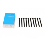 Болти головки (к-кт 10шт.) BMW 5 (E34/E39)/7 (E32/E38)/X5 (E53) 92-05, M60/M62 