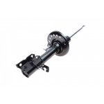 Амортизатор (передній) Nissan Qashqai 07-13 (R) 