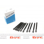 Болти головки (к-кт 10шт.) Renault Trafic/Kangoo/Opel Vivaro 1.9D/dTi/dCi 00-, F8Q 