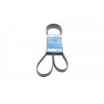 Ремінь генератора Fiat Bravo I 1.2 16V (182_) 95-01 (+AC) (5PK1588) 