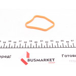 Прокладка термостата BMW 3 (E36/E46)/5 (E34/E39)/7 (E38) 2.0/2.5/2.8 89-04 