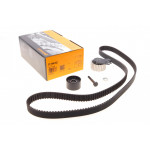 Комплект ГРМ Fiat Brava/Bravo/Doblo/Palio/Punto 1.9D 01- (24x193z) 