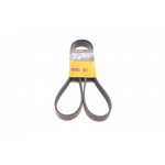 Ремінь генератора Peugeot 406 96-04 (6PK1480) 