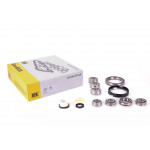 Ремкомплект КПП Renault Master 2.2/2.5 dCi 01-, PK5/PK6 