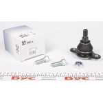 Опора кульова (передня/знизу) VW T5/Multivan V 03-15 