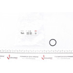 Прокладка фазорегулятора BMW 1E87/3 E46/5 E60/5 E61/X1/X3/X5 97-12 (34x41x3.52) 