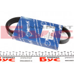 Ремінь генератора Renault Kangoo 1.2i 97- (5PK875) 