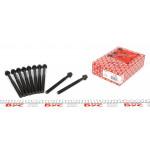 Болти головки (к-кт 10шт.) Ford Transit Connect 1.8 TDCI 02-13 (M12x1.75x137/177) 