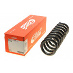 Пружина (задня) MB E-class (W211) 02-08 (седан) (ос:Classic/Elegance) 