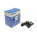 Термостат Renault Megane II/Scenic II/Megane 1.9 dCi 02- (89°C) 