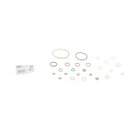 Ремкомплект ТНВД MB OM646-OM648 