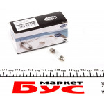 Автолампа C5W 24V 5W SV8.5-8 Standard 24V 