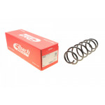 Пружина (задня) MB A-class (W169)/B-class (W245) 04-12 (OM640/M266) (накл.зад.ч.)(без спорт.ход.ч) 