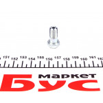 Болт Banjo (банжо) M10x1mm (14x27.1) 