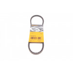 Ремінь генератора Fiat Ducato/Citroen Jumper 1.9D/2.0 94-01 