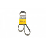 Ремінь генератора Citroen Xantia 3.0 V6 97-03/Mitsubishi L200 2.5 DI-D 05-15 