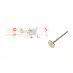 Клапан (впуск) Citroen Jumpy/Fiat Scudo/Peugeot Expert 2.0D-2.2D 16V 07- (30x6x105) (азотований) 