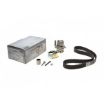 Комплект ГРМ + помпа Skoda Fabia/VW Passat/Golf 1.9TDI 00-06/Sharan 1.9TDI 95-10(120x30)(помпа P550) 