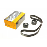 Комплект ГРМ Citroen Jumper/Peugeot 605/Boxer 2.5D 94-02 (28x141z) 