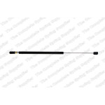 Амортизатор кришки багажника Ford Fiesta V 01-08 (хетчбек) (5 дверей) 