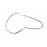 Прокладка піддона Citroen Jumper/Jumpy/Peugeot Boxer/Expert 2.0 HDi 15- 