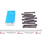 Болти головки (к-кт 10шт.) Citroen Jumper/Jumpy/Fiat Ducato/Scudo 1.9 TD 94-06 (1.5xM12) 