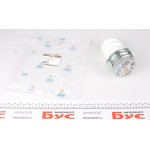 Відбійник ресори (задньої) Fiat Ducato/Peugeot Boxer 2.0-3.0D/HDi 06- 